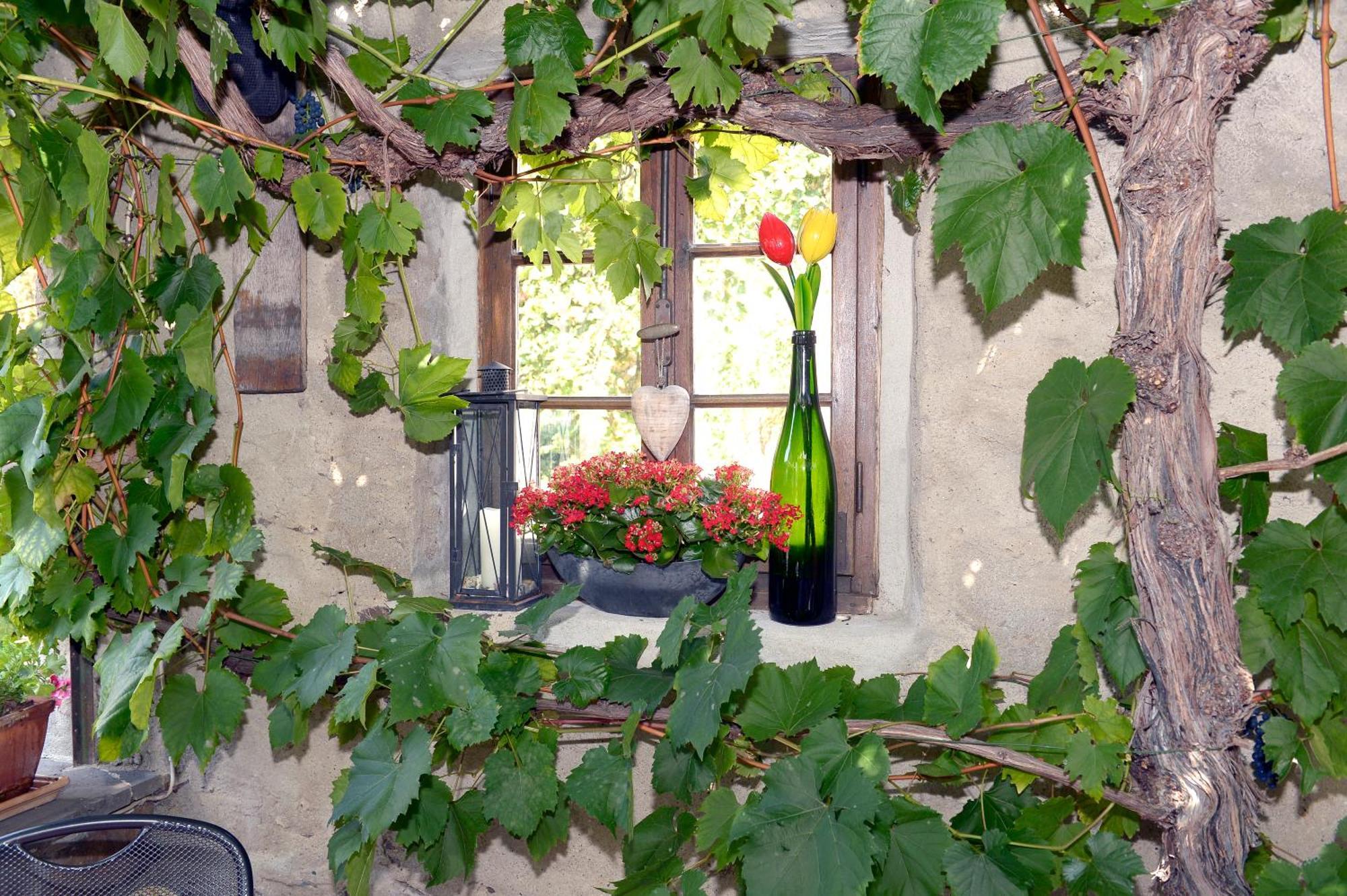 Wein- Und Gaestehaus M. Bai Mesenich Ngoại thất bức ảnh