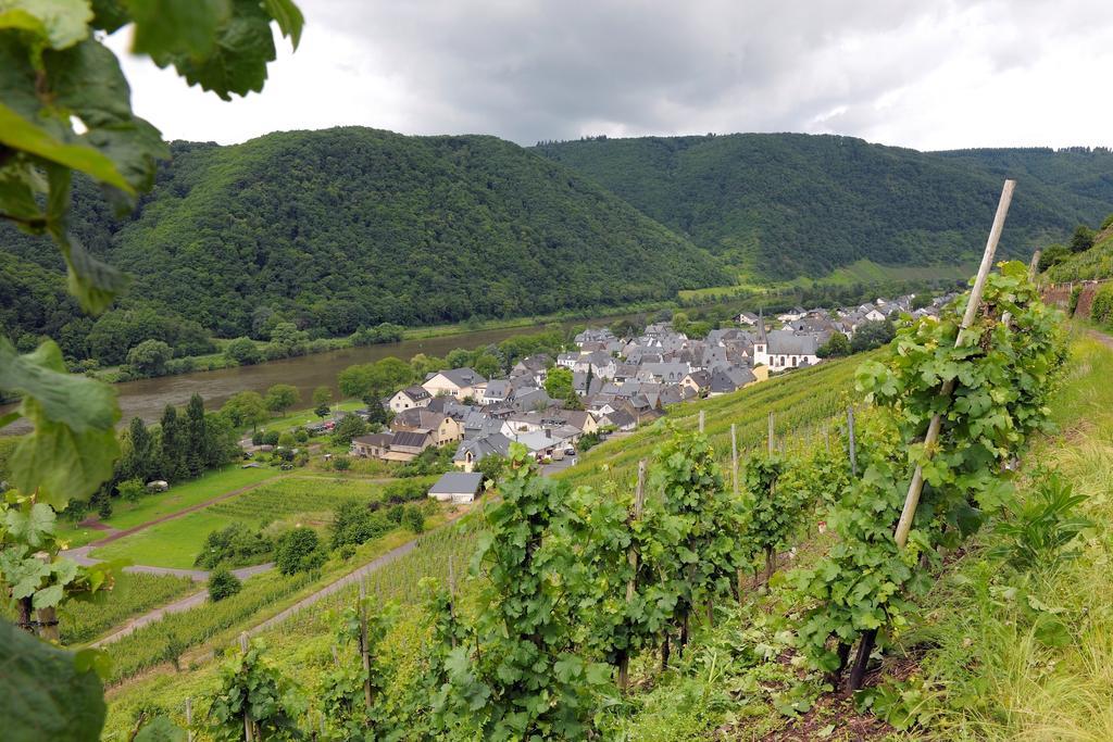 Wein- Und Gaestehaus M. Bai Mesenich Ngoại thất bức ảnh